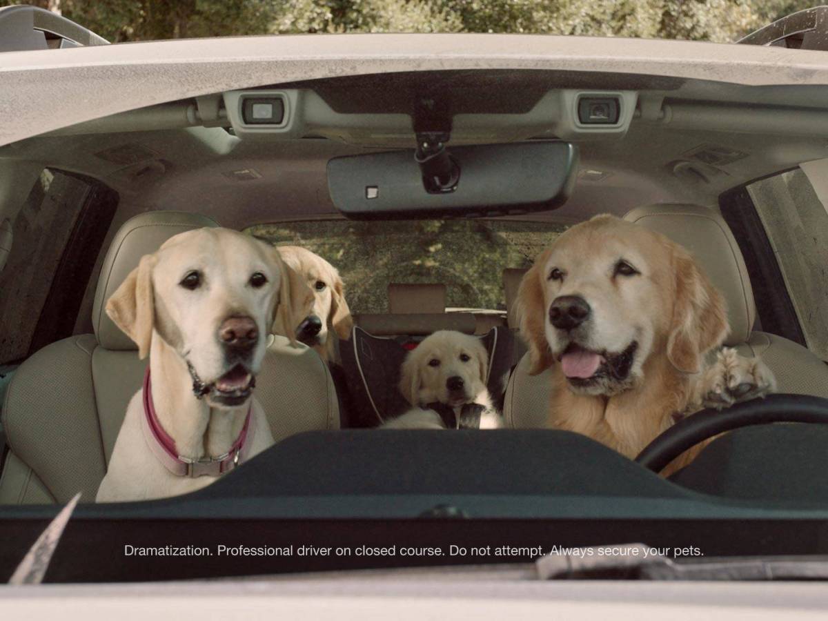 The Tail of Dogs in&nbsp;Advertising
